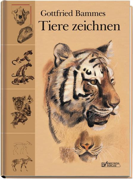 Tiere zeichnen