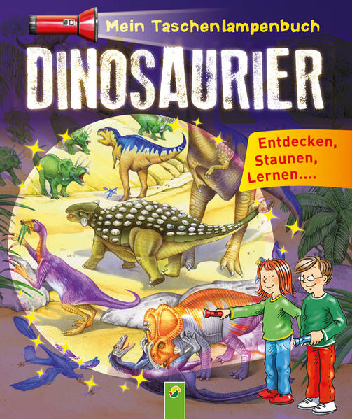 Mein Taschenlampenbuch Dinosaurier