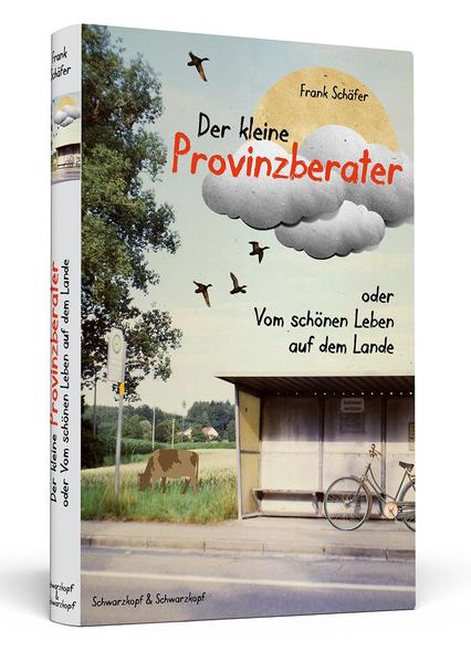 Der kleine Provinzberater