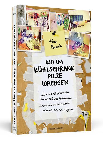 Wo im Kühlschrank Pilze wachsen