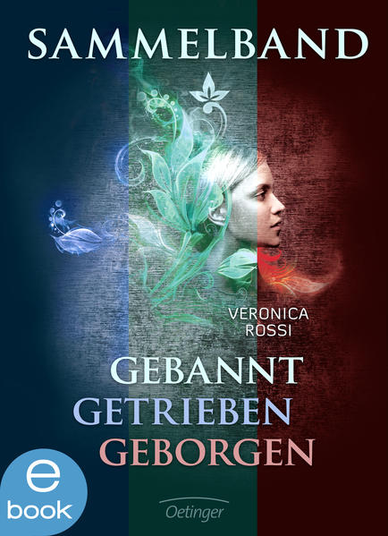 Sammelband: Gebannt. Getrieben. Geborgen