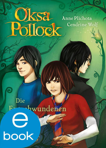 Oksa Pollock. Die Entschwundenen