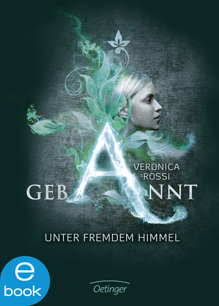 Gebannt. Unter fremdem Himmel