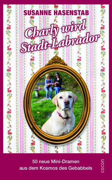 Charly wird Stadtlabrador