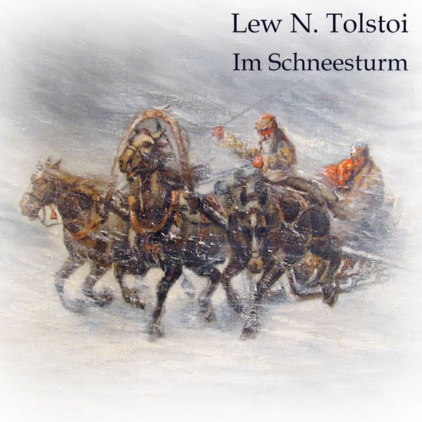 Im Schneesturm
