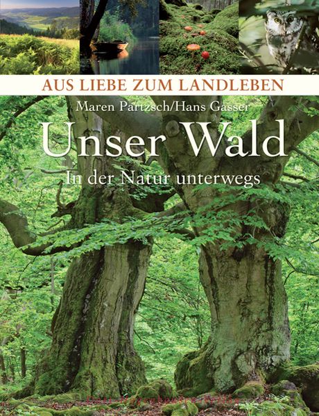 Unser Wald