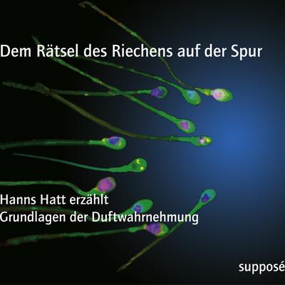 Dem Rätsel des Riechens auf der Spur
