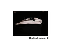Nachtschwärmer