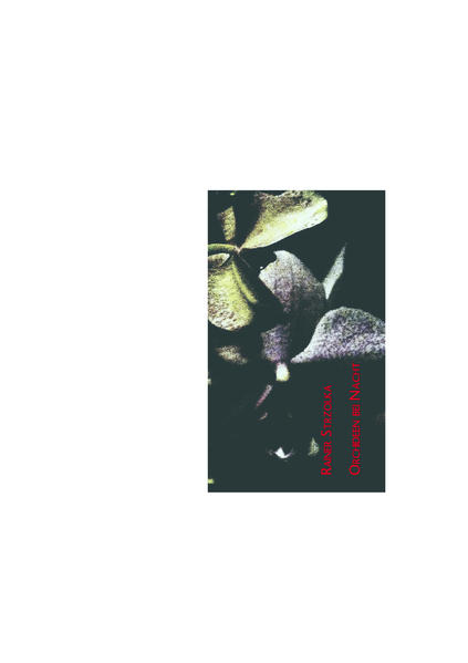 Orchideen bei Nacht