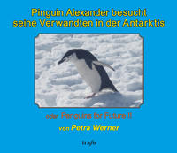 Pinguin Alexander besucht seine Verwandten in der Antarktis