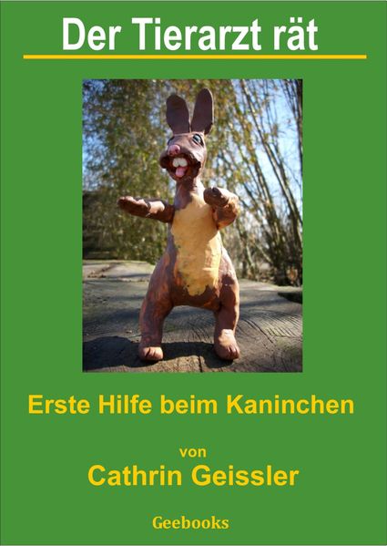 Der Tierarzt rät - Erste Hilfe beim Kaninchen