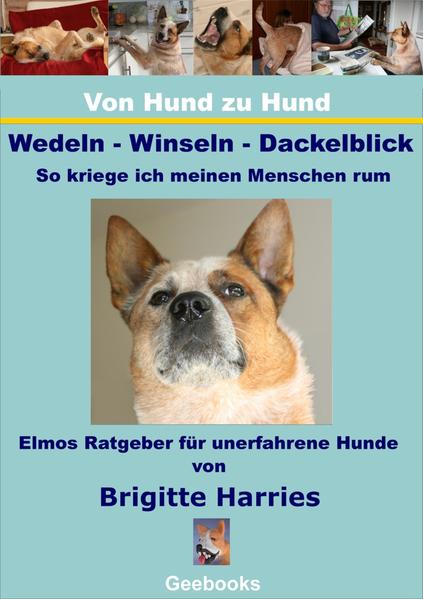 Von Hund zu Hund - Wedeln-Winseln-Dackelblick - So krieg ich meinen Menschen rum