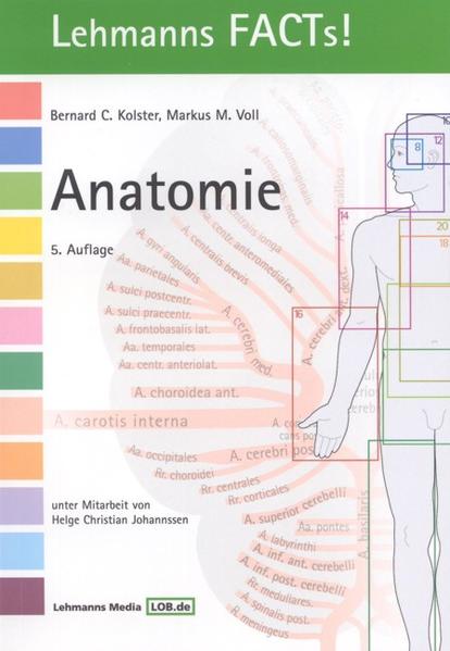 Anatomie