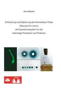 Entwicklung und Etablierung des filamentösen Pilzes Magnaporthe oryzae als Expressionssystem für die heterologe Produktion von Proteinen