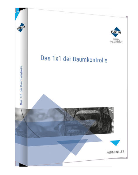 Das 1x1 der Baumkontrolle