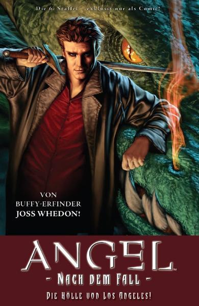 Angel Nach dem Fall
