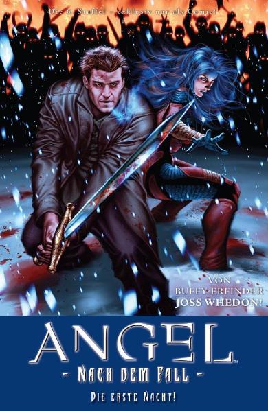 Angel Nach dem Fall