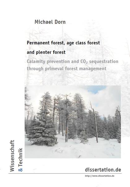 Permanent forest, age class forest and plenter forest