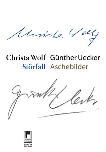 Störfall Aschebilder