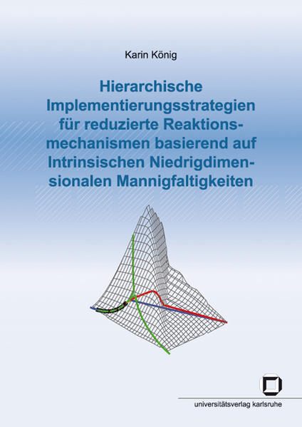 Hierarchische Implementierungsstrategien für reduzierte Reaktionsmechanismen basierend auf Intrinsischen Niedrigdimensionalen Mannigfaltigkeiten