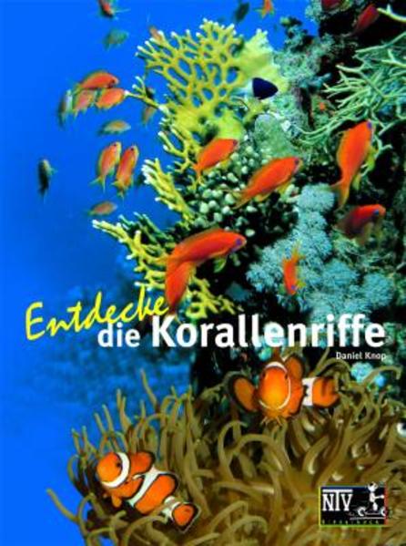 Entdecke die Korallenriffe