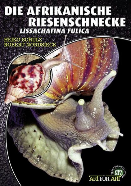 Die Afrikanische Riesenschnecke