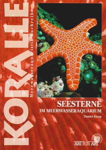 Seesterne im Meerwasseraquarium