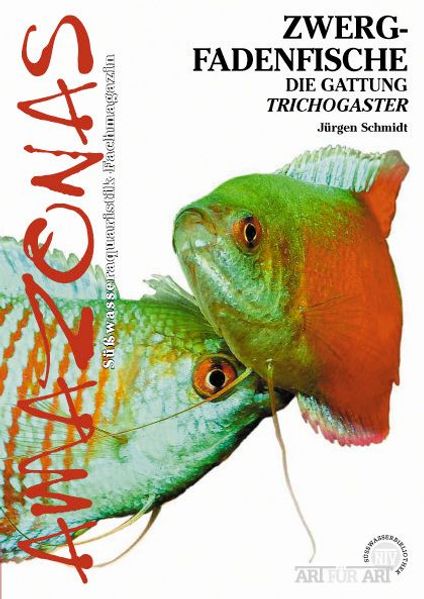 Zwergfadenfische