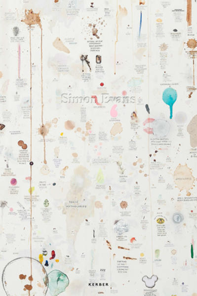 Simon Evans