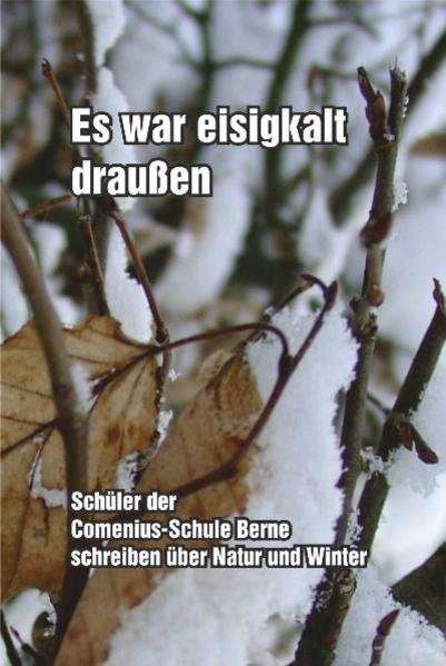 Es war eisigkalt draußen