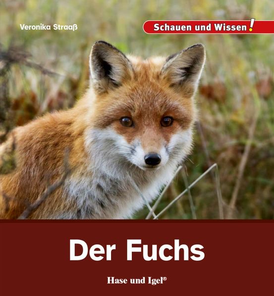Der Fuchs