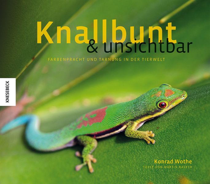 Knallbunt und unsichtbar