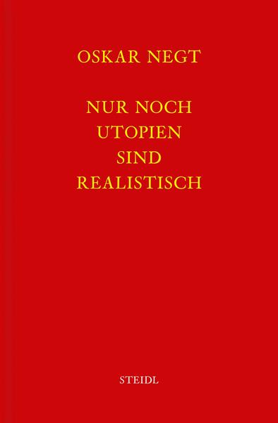 Werkausgabe Bd. 17 / Nur noch Utopien sind realistisch