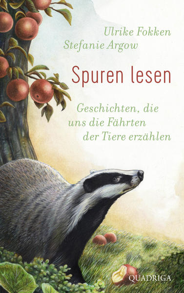 Spuren lesen