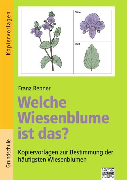 Brigg: Sachunterricht - Grundschule / Welche Wiesenblume ist das?
