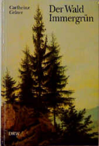 Der Wald Immergrün