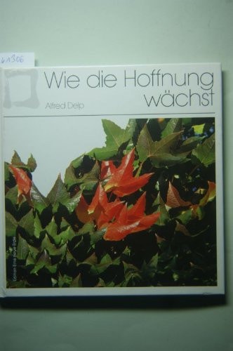 Wie die Hoffnung wächst