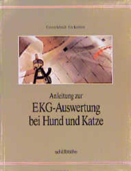 Anleitung zur EKG-Auswertung bei Hund und Katze