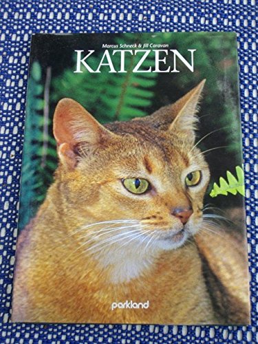 Katzen