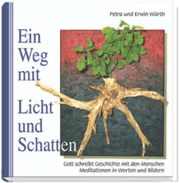 Ein Weg mit Licht und Schatten