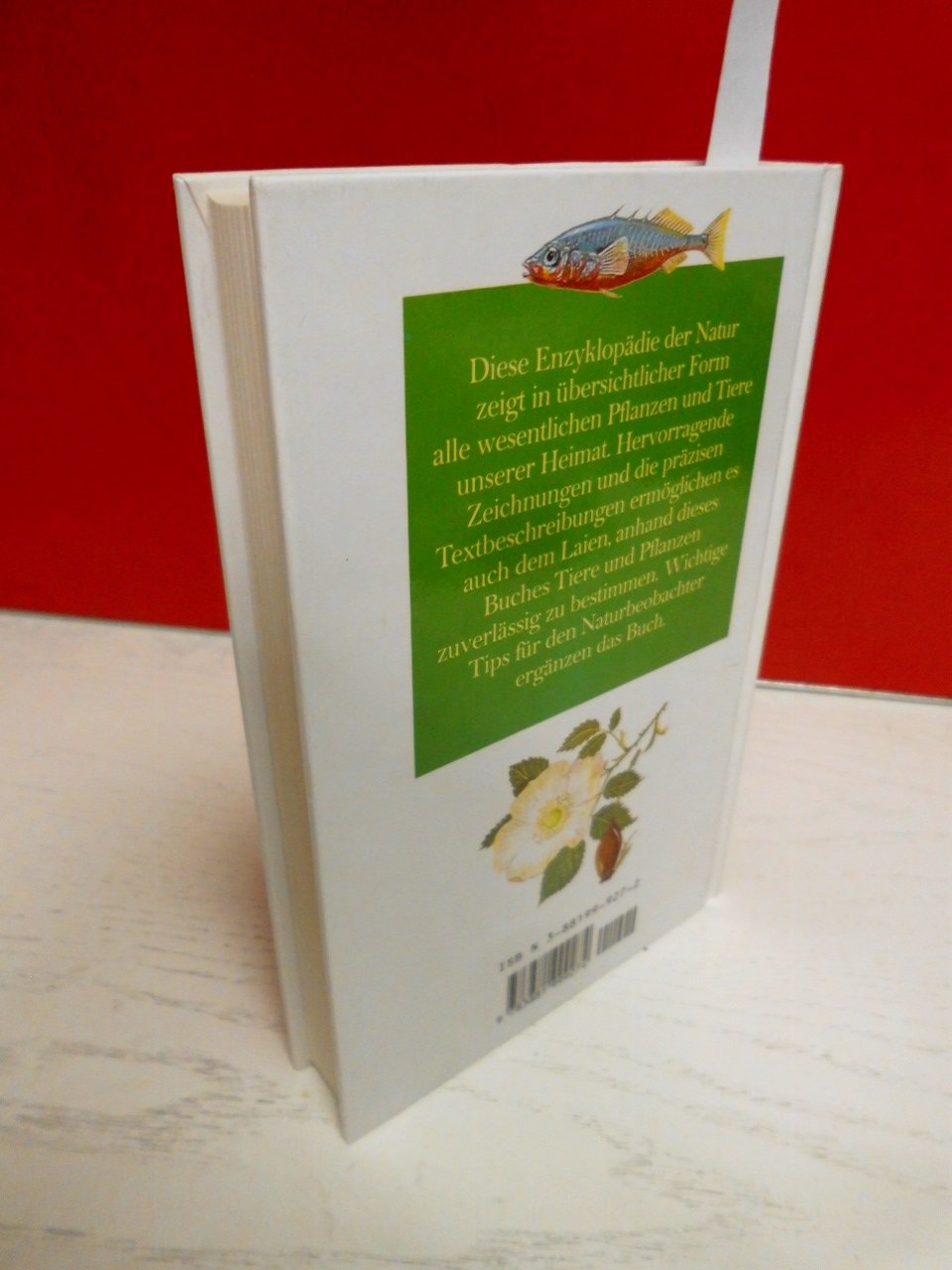 Handbuch der Natur