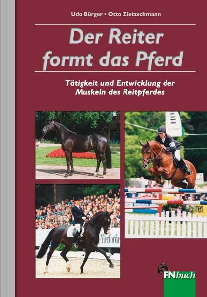 Der Reiter formt das Pferd