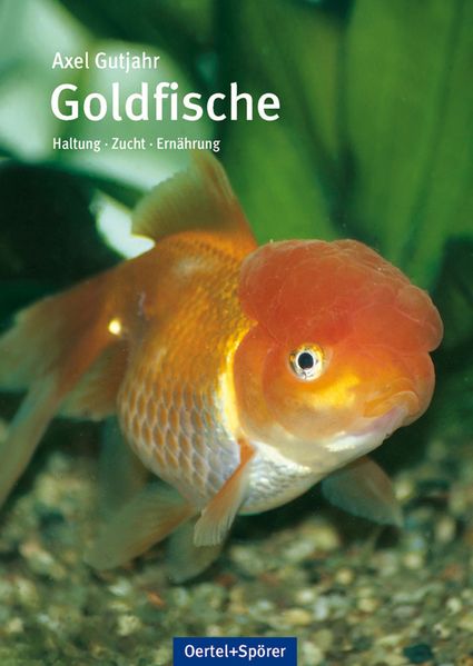 Goldfische