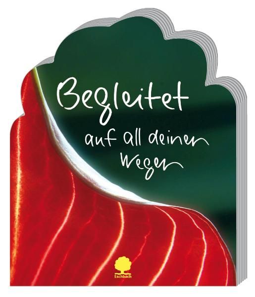 Begleitet auf all deinen Wegen
