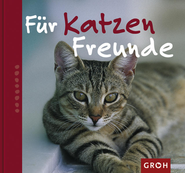 Für Katzenfreunde