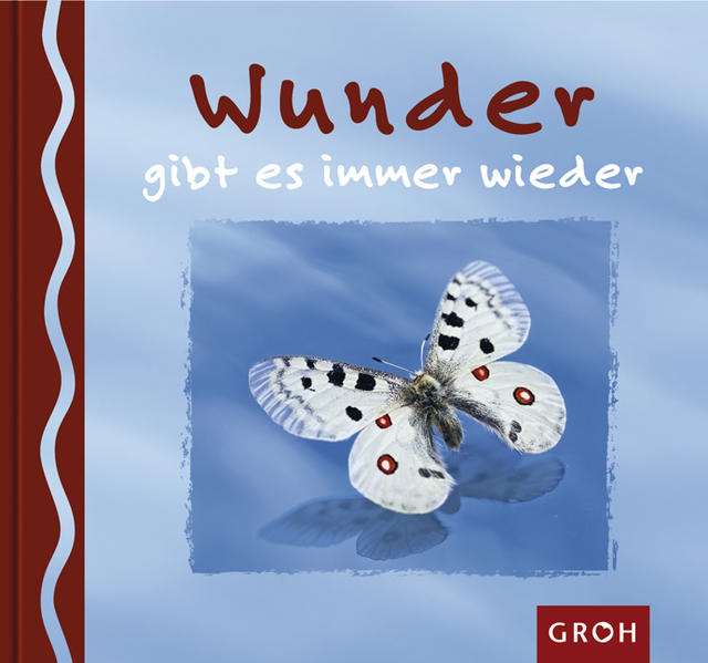 Wunder gibt es immer wieder