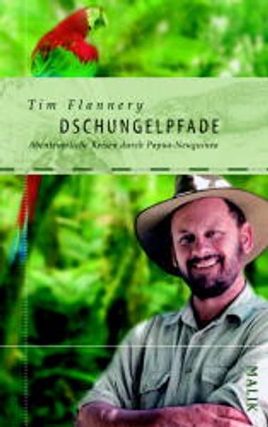 Dschungelpfade