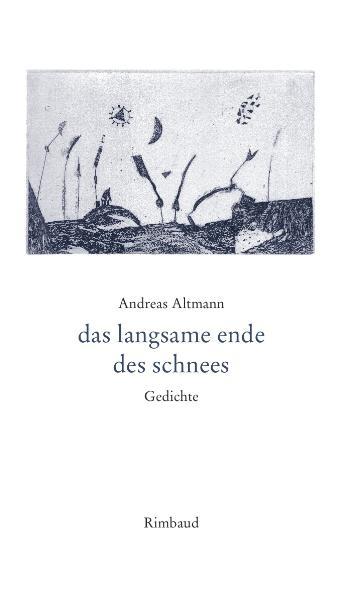 das langsame ende des schnees