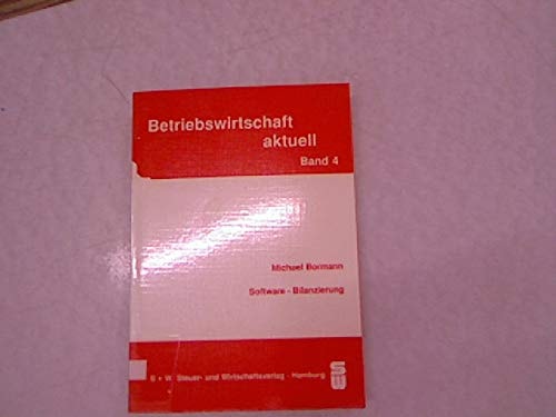 Software-Bilanzierung