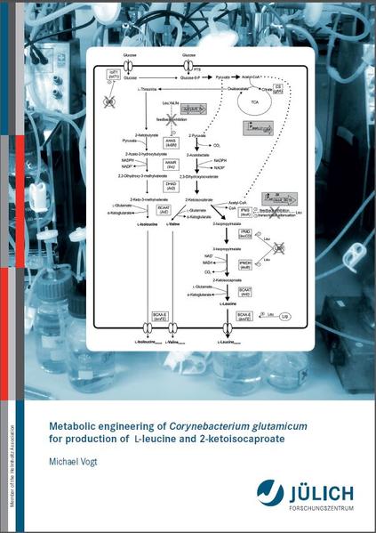 Metabolic engineering of Corynebacterium glutamicum for production of L-leucine and 2-ketoisocaproate